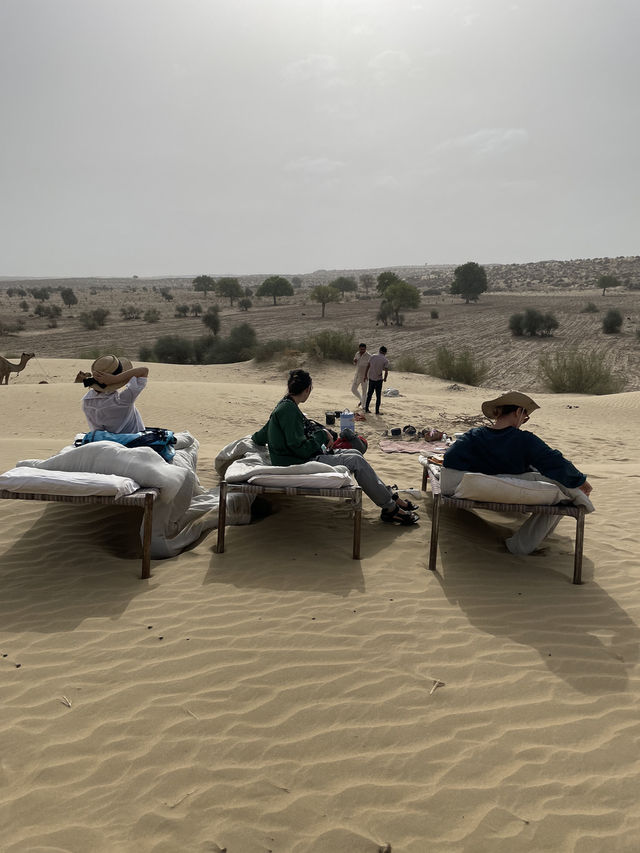 インドの砂漠ツアーはラクダに長時間乗れちゃう🐪刺激的なひととき