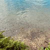 **Tasik Biru: A Natural Gem with Rich Heritage**