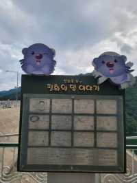 누구나 한번쯤은 가봤으면 하는 화천여행지🩵