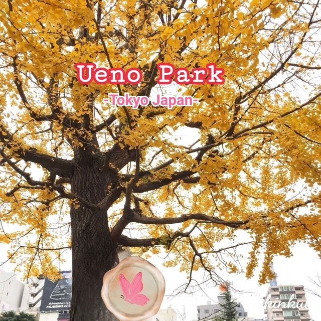 พิกัดเที่ยว Ueno Park 