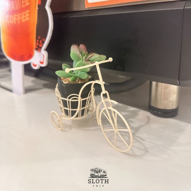 🤗 WAVA COFFEE