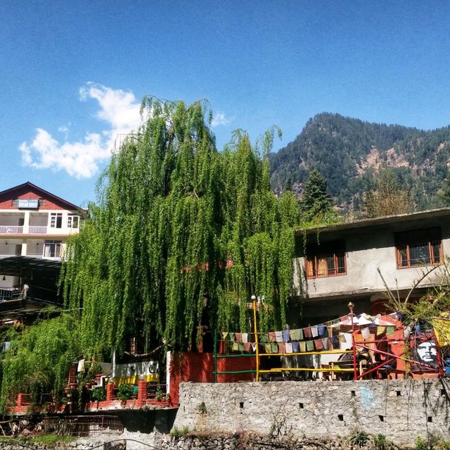 Manali เมืองตากอากาศอินเดีย