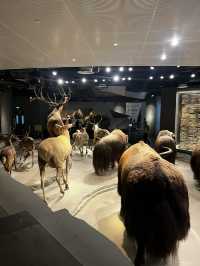 Museum ราคาดีที่ห้ามพลาดเมื่อมาเที่ยวเซี่ยงไฮ้ 🦕