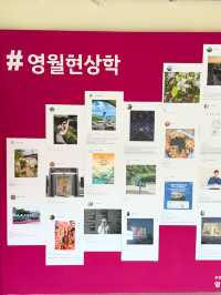 자연과 역사가 살아 숨쉬는 즐거운 여행지 영월💚 