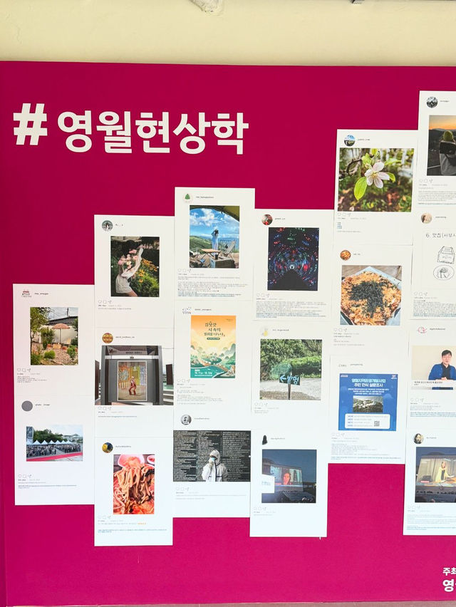 자연과 역사가 살아 숨쉬는 즐거운 여행지 영월💚 