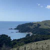 Waiheke Island, New Zealand