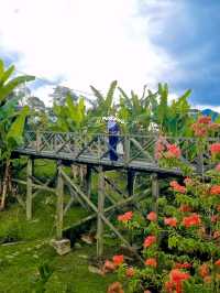 BREAKFAST IN NATURE : THE LEMUNI
