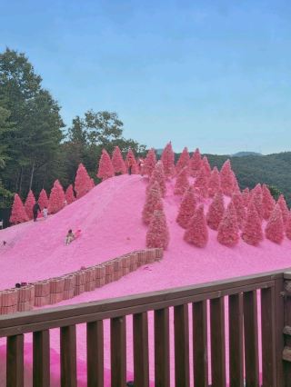 Herb Island: A Romantic Encounter with Pink Muhly and Pink Sand