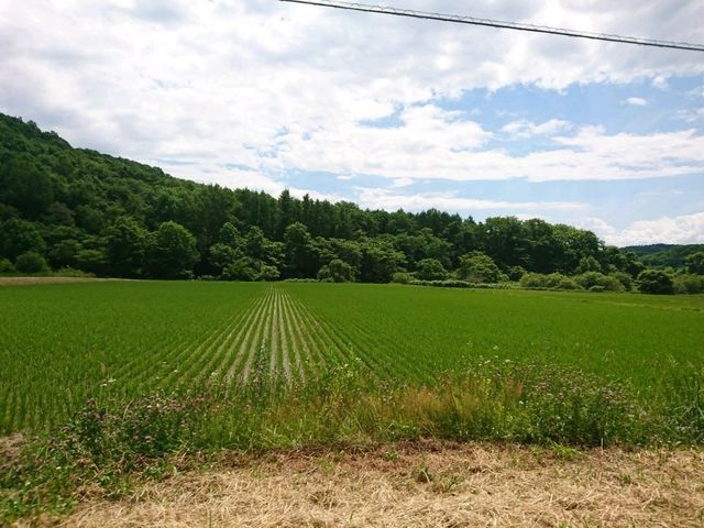【当麻鍾乳洞:北海道当麻町】自然のパワーを感じる鍾乳洞!!