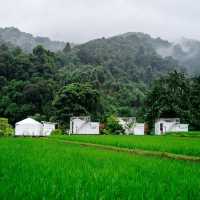 🏔️ปล่อยใจให้ธรรมชาติฮีล~ กับที่พักวิวทุ่งนา ภูเขา