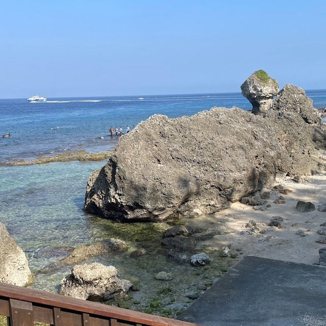 ［小琉球］花瓶岩與其生態海域和潮間帶🌊
