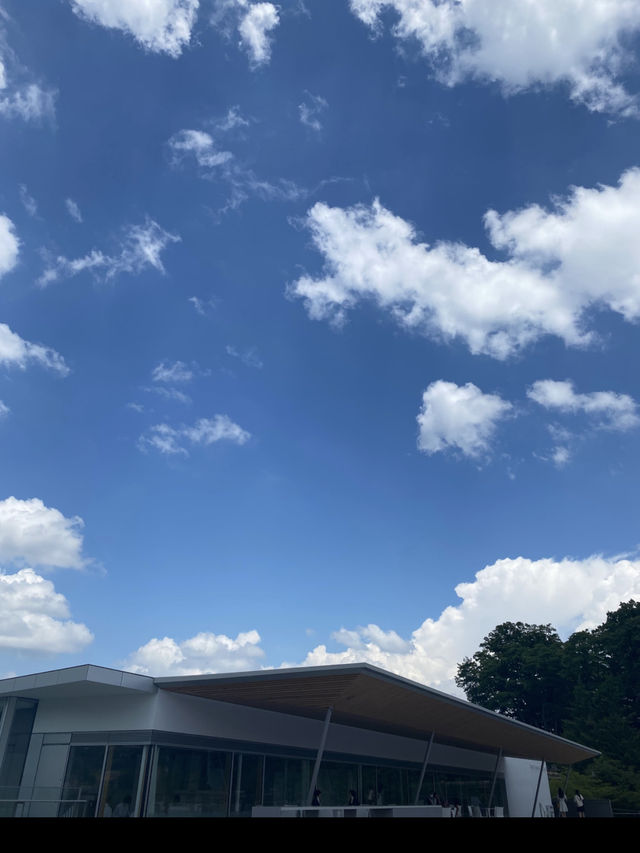 【長野市】善光寺の近くにある開放的な空間の美術館🌌