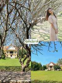 20 พิกัดเที่ยวน่าน 🍃