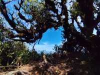 Trekking Ta Xua - top 13th highest moutain in Vietnam