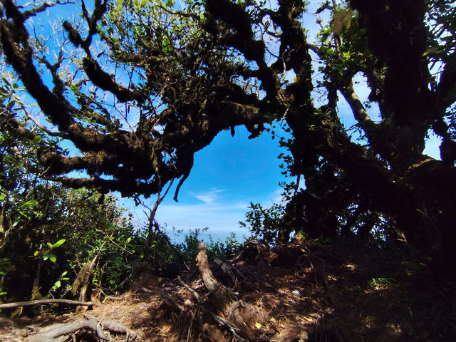 Trekking Ta Xua - top 13th highest moutain in Vietnam