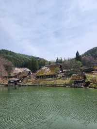 แจกแพลนเที่ยว Nagoya Japan (Alpine-Takayama)