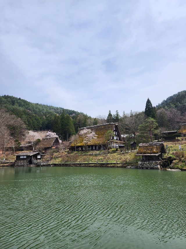แจกแพลนเที่ยว Nagoya Japan (Alpine-Takayama)