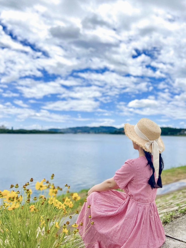 금계국이 예쁜 한강공원💛