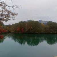 日本/東北/日本九寨溝~五色沼 賞楓的好地方~風景很美
