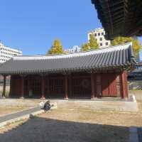 Dongmyo (Eastern Shrine) ความสงบเงียบในดงเมียว