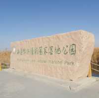 博斯騰湖