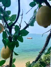 คาเฟ่สวยพัทยา Papa Beach Pattaya