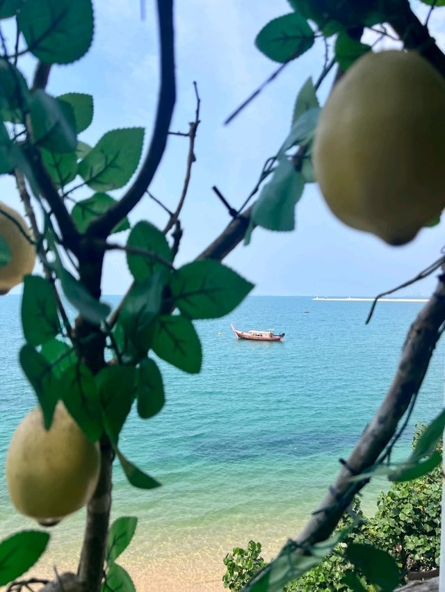คาเฟ่สวยพัทยา Papa Beach Pattaya