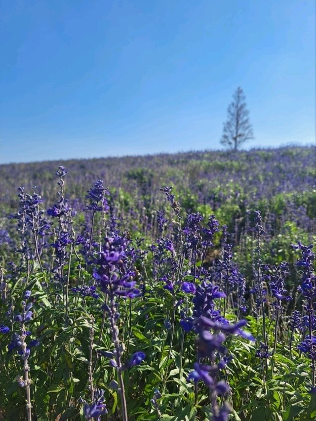 【淡路島】映えスポットを巡る★西海岸ドライブの旅