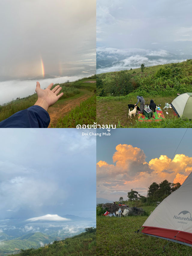 9 พิกัดที่เที่ยวเชียงราย | ฤดูหนาว 🏡⛰️🌿🌼
