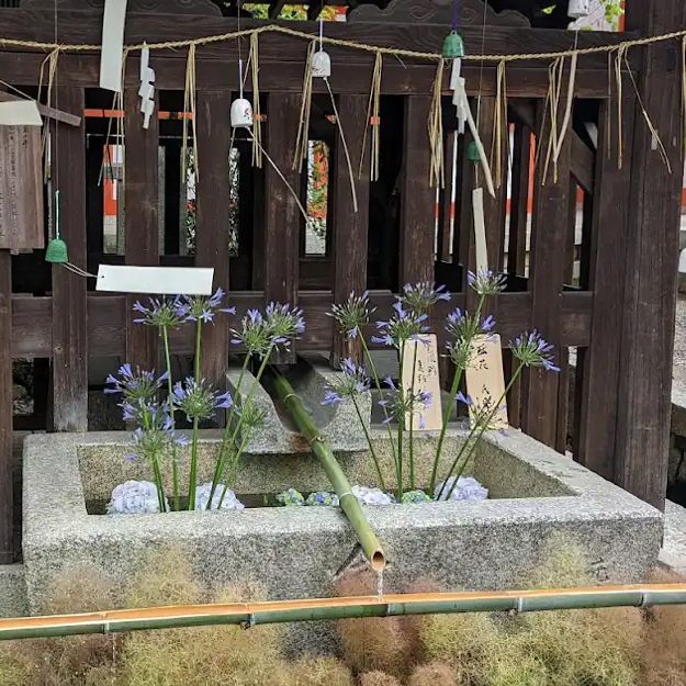 【京都】玉の輿神社⛩️