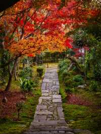 【紅葉特集】世界文化遺産の石庭以外も素敵すぎる✨見応えありの紅葉スポット🍁