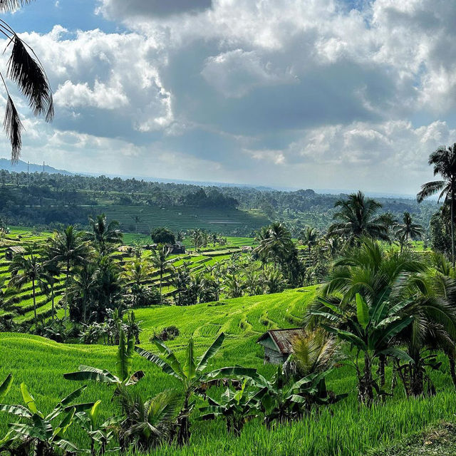 Jatiluwih Rice Terraces: A UNESCO World Heritage Gem