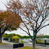 葛西臨海公園 賞花看海的一天