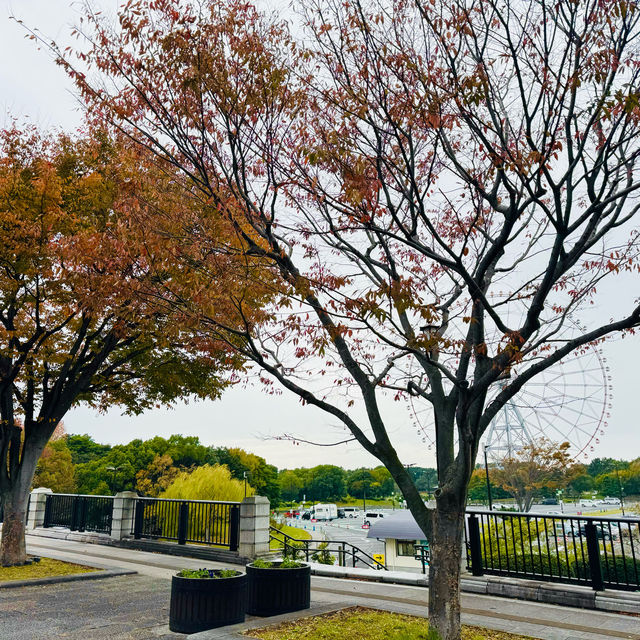 葛西臨海公園 賞花看海的一天