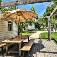 Beautiful winery experience at Adelaide 