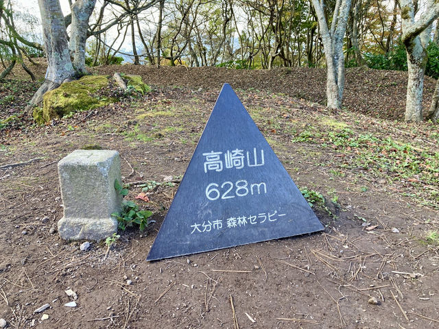 【大分】猿で有名な高崎山の絶景✨