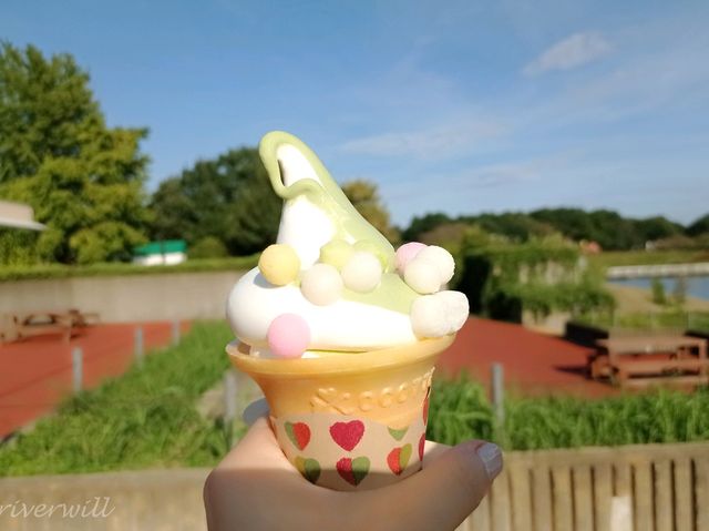 【茨城県】色とりどりの花の競演！国営ひたち海浜公園