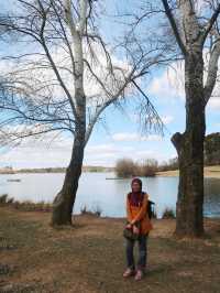Tranquil Strolls and Stunning Lake Views at Weston Park, Canberra Australia!