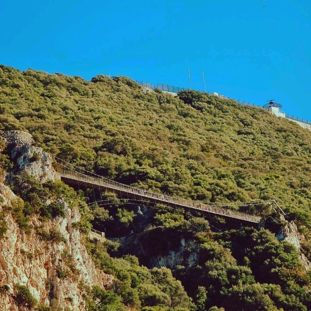 從山上返回城鎮途中的一個有趣景點