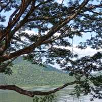 อุทยานแห่งชาติใหญ่สุดในประเทศไทย