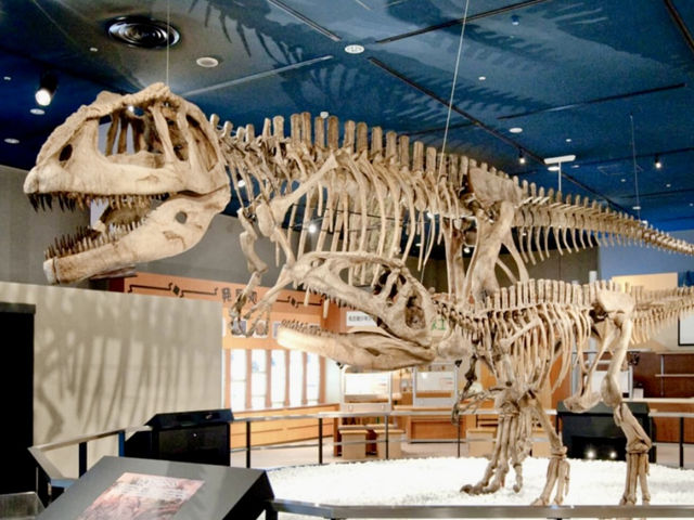 福岡親子景點｜名古屋科學館玩一整天！🦖