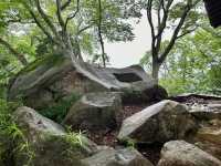 Sashiro Sanroku Park