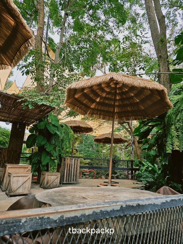 มองช้าง Cafe หมู่บ้านช้างพัทยา สุดแสนประทับใจ🐘