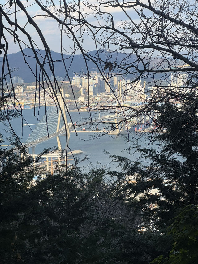 바다와 산을 한곳에서!