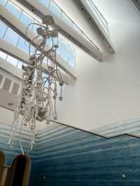 ［奧斯汀旅遊］Blanton Museum of Art-探索藝術瑰寶🌷