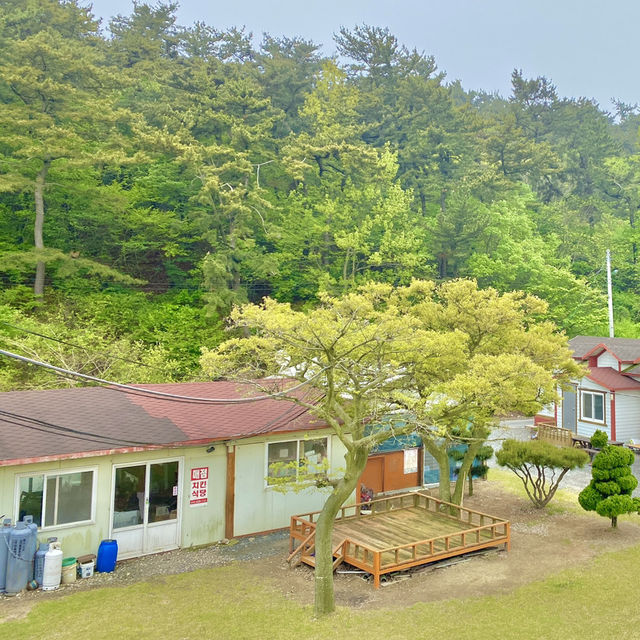 삽시도의 자연과 어우러진 조용하고 아담한 펜션형 민박 - 삽시도 밤섬 민박