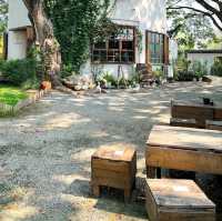 Judy's Home Cafe คาเฟ่สไตล์โฮมมี่