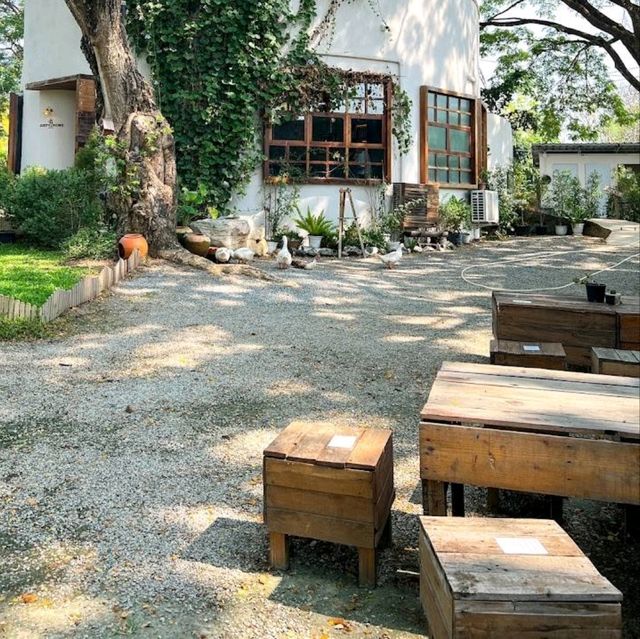 Judy's Home Cafe คาเฟ่สไตล์โฮมมี่