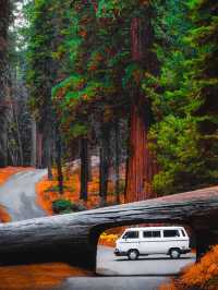 🚙Road Trip Through California: