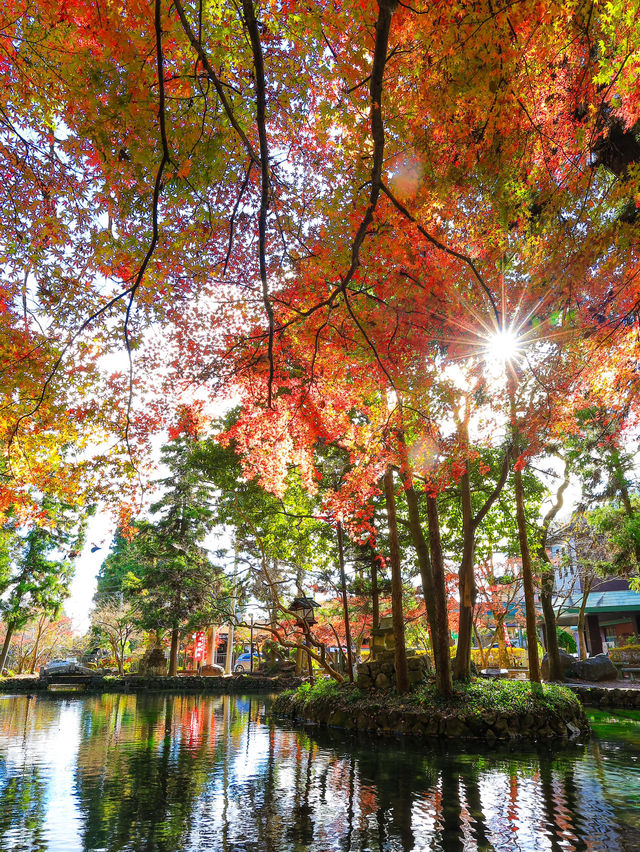 📍 【栃木】静寂な水辺に映る紅葉🍁 
